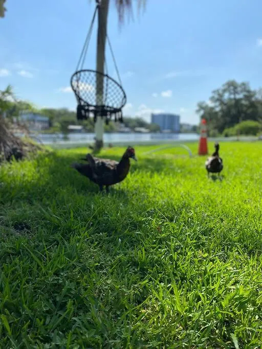 Rv River Vibe Tampa